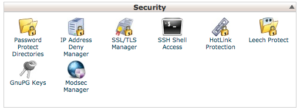 cPanel Security